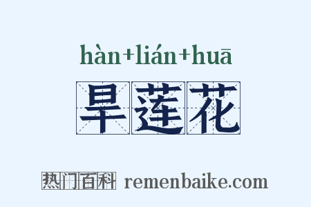 旱莲花是什么意思的图片